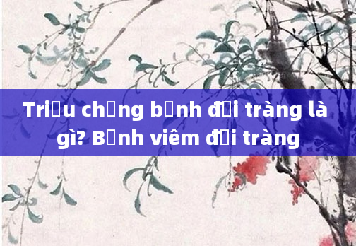 Triệu chứng bệnh đại tràng là gì? Bệnh viêm đại tràng