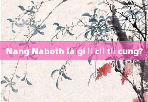 Nang Naboth là gì ở cổ tử cung?