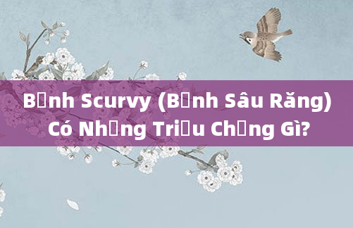 Bệnh Scurvy (Bệnh Sâu Răng) Có Những Triệu Chứng Gì?