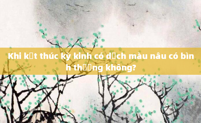 Khi kết thúc kỳ kinh có dịch màu nâu có bình thường không?