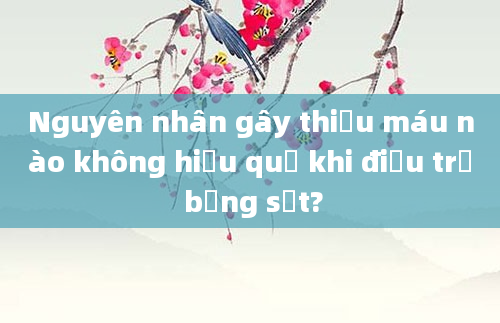 Nguyên nhân gây thiếu máu nào không hiệu quả khi điều trị bằng sắt?