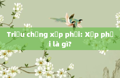 Triệu chứng xẹp phổi: Xẹp phổi là gì?