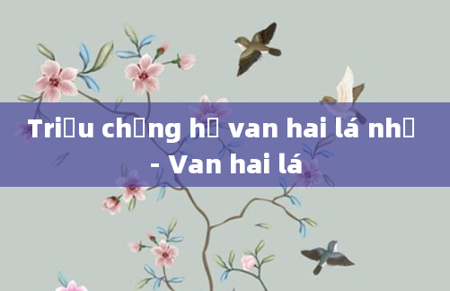 Triệu chứng hở van hai lá nhẹ - Van hai lá