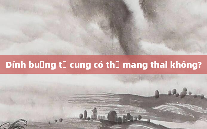 Dính buồng tử cung có thể mang thai không?