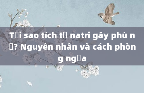 Tại sao tích tụ natri gây phù nề? Nguyên nhân và cách phòng ngừa