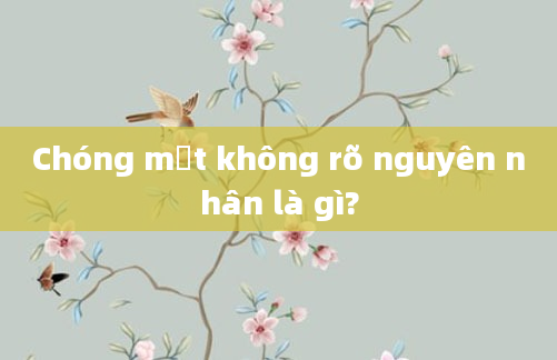 Chóng mặt không rõ nguyên nhân là gì?