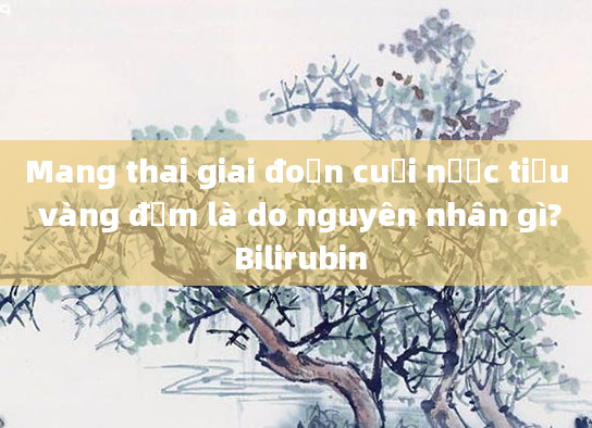 Mang thai giai đoạn cuối nước tiểu vàng đậm là do nguyên nhân gì? Bilirubin