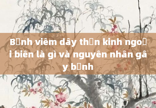 Bệnh viêm dây thần kinh ngoại biên là gì và nguyên nhân gây bệnh