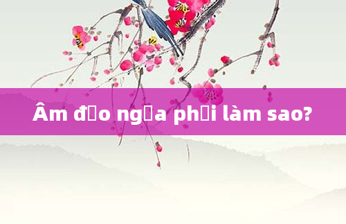 Âm đạo ngứa phải làm sao?