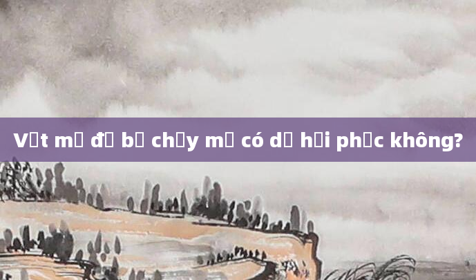 Vết mổ đẻ bị chảy mủ có dễ hồi phục không?