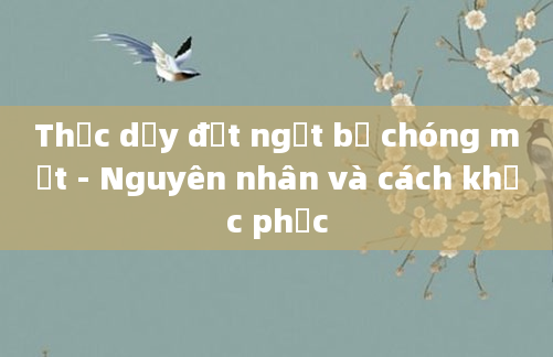Thức dậy đột ngột bị chóng mặt - Nguyên nhân và cách khắc phục