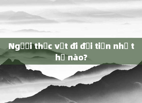 Người thực vật đi đại tiện như thế nào?