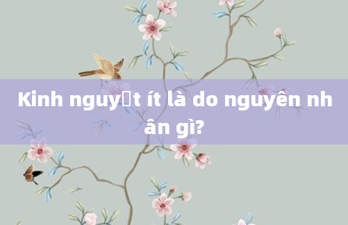 Kinh nguyệt ít là do nguyên nhân gì?