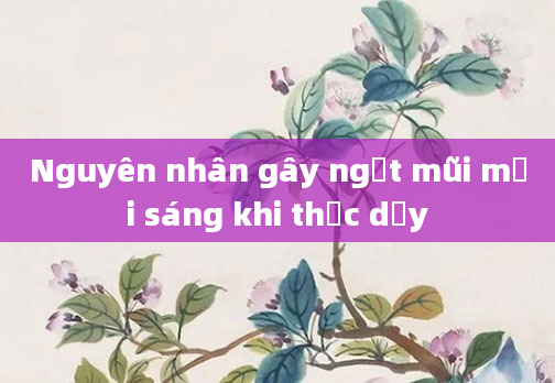 Nguyên nhân gây ngạt mũi mỗi sáng khi thức dậy
