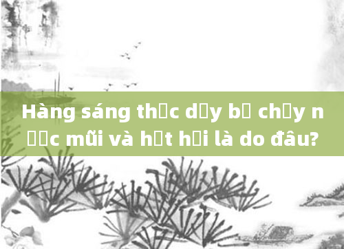 Hàng sáng thức dậy bị chảy nước mũi và hắt hơi là do đâu?