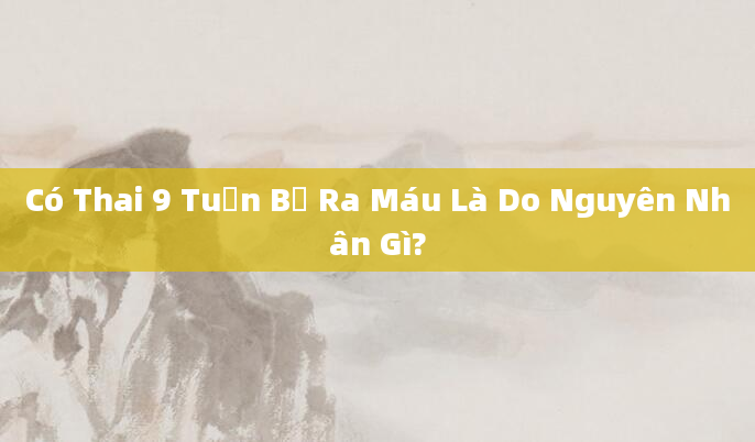 Có Thai 9 Tuần Bị Ra Máu Là Do Nguyên Nhân Gì?