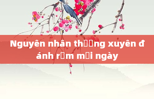Nguyên nhân thường xuyên đánh rắm mỗi ngày