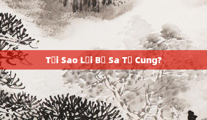Tại Sao Lại Bị Sa Tử Cung?