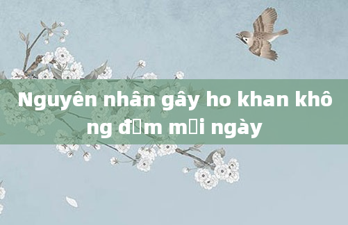 Nguyên nhân gây ho khan không đờm mỗi ngày