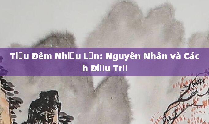 Tiểu Đêm Nhiều Lần: Nguyên Nhân và Cách Điều Trị
