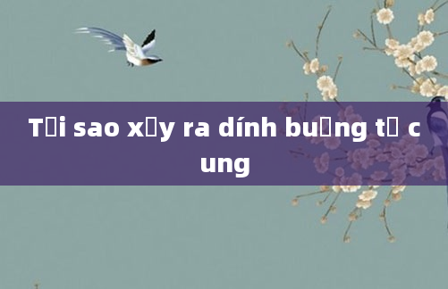 Tại sao xảy ra dính buồng tử cung