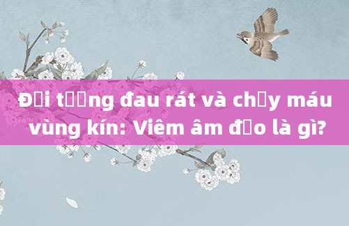 Đối tượng đau rát và chảy máu vùng kín: Viêm âm đạo là gì?
