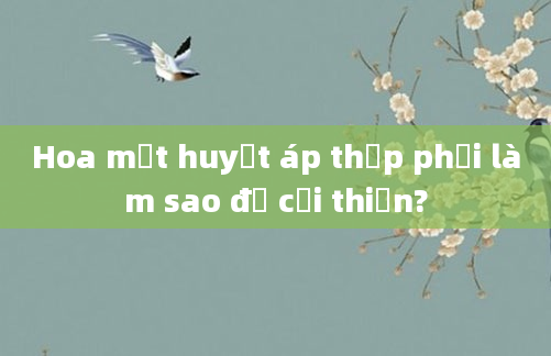 Hoa mắt huyết áp thấp phải làm sao để cải thiện?