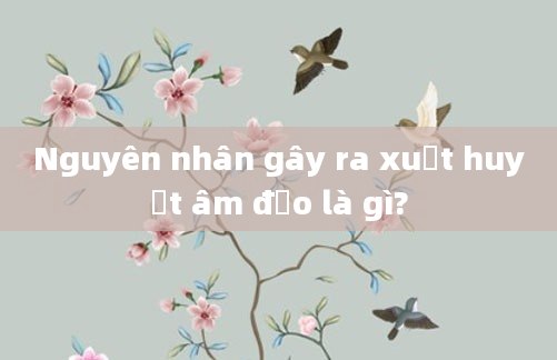 Nguyên nhân gây ra xuất huyết âm đạo là gì?