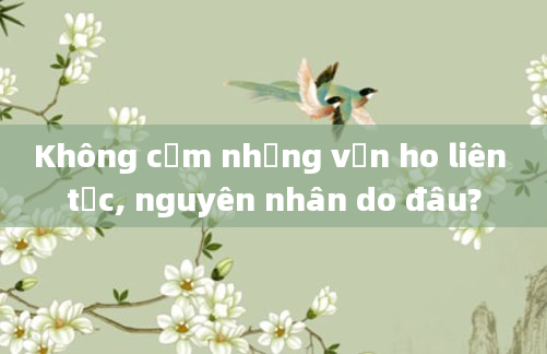 Không cảm nhưng vẫn ho liên tục, nguyên nhân do đâu?
