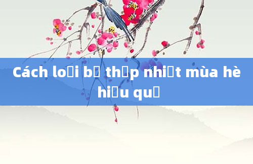 Cách loại bỏ thấp nhiệt mùa hè hiệu quả