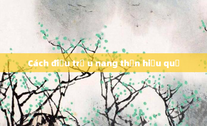 Cách điều trị u nang thận hiệu quả