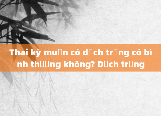 Thai kỳ muộn có dịch trắng có bình thường không? Dịch trắng