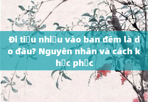 Đi tiểu nhiều vào ban đêm là do đâu? Nguyên nhân và cách khắc phục