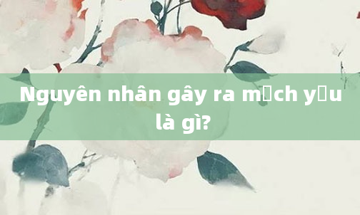 Nguyên nhân gây ra mạch yếu là gì?
