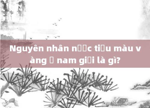 Nguyên nhân nước tiểu màu vàng ở nam giới là gì?