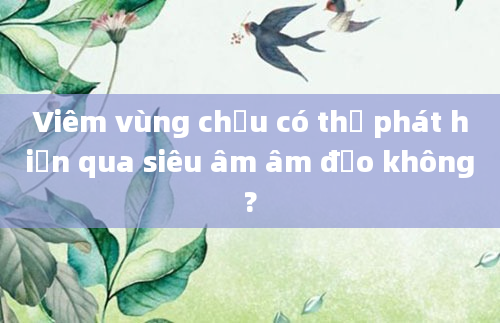 Viêm vùng chậu có thể phát hiện qua siêu âm âm đạo không?