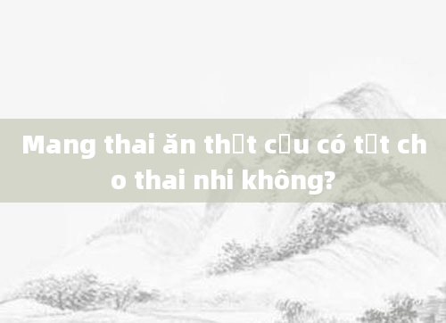 Mang thai ăn thịt cừu có tốt cho thai nhi không?