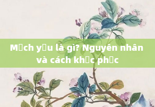 Mạch yếu là gì? Nguyên nhân và cách khắc phục