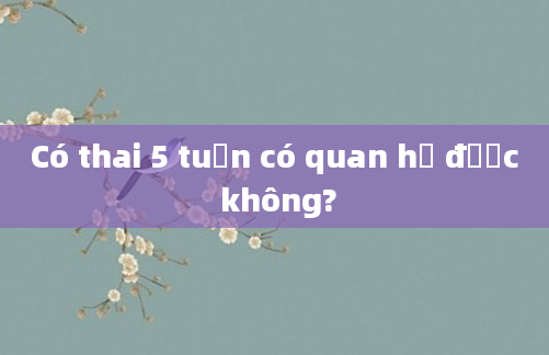 Có thai 5 tuần có quan hệ được không?