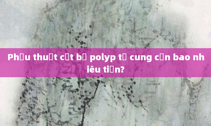 Phẫu thuật cắt bỏ polyp tử cung cần bao nhiêu tiền?