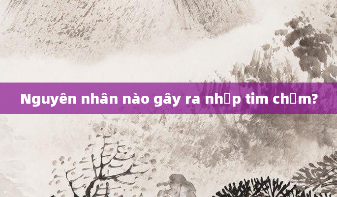 Nguyên nhân nào gây ra nhịp tim chậm?