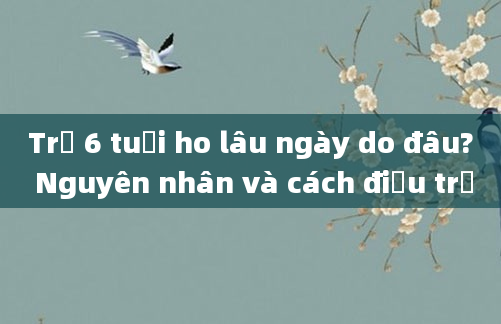 Trẻ 6 tuổi ho lâu ngày do đâu? Nguyên nhân và cách điều trị