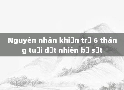 Nguyên nhân khiến trẻ 6 tháng tuổi đột nhiên bị sốt