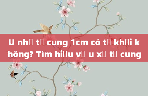 U nhỏ tử cung 1cm có tự khỏi không? Tìm hiểu về u xơ tử cung