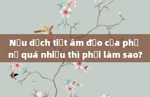 Nếu dịch tiết âm đạo của phụ nữ quá nhiều thì phải làm sao?