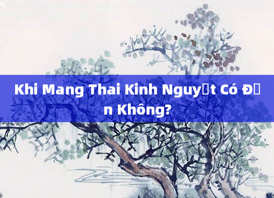 Khi Mang Thai Kinh Nguyệt Có Đến Không?