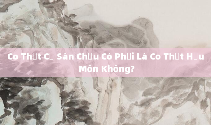 Co Thắt Cơ Sàn Chậu Có Phải Là Co Thắt Hậu Môn Không?