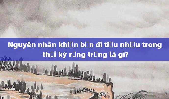 Nguyên nhân khiến bạn đi tiểu nhiều trong thời kỳ rụng trứng là gì?