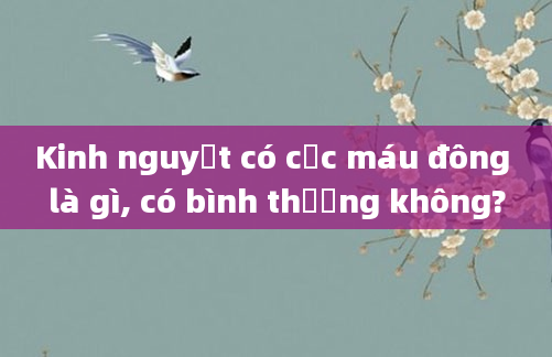 Kinh nguyệt có cục máu đông là gì, có bình thường không?