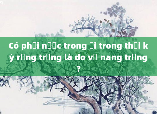 Có phải nước trong ối trong thời kỳ rụng trứng là do vỡ nang trứng?
